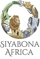 http://kwazulu.hotelguide.co.za