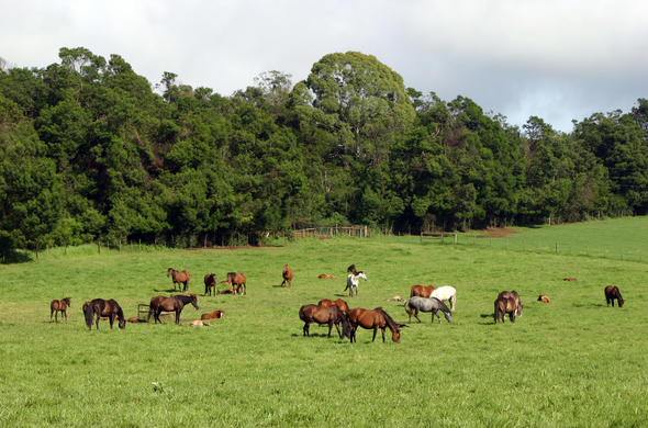 The Midlands Meander - KwaZulu-Natal Travel Guide - Arts and Crafts Routes